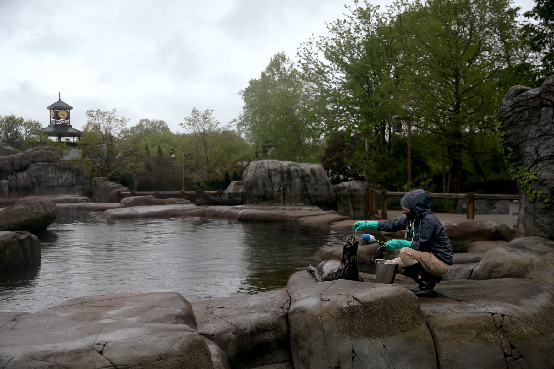 Most work continues at St. Louis Zoo despite coronavirus